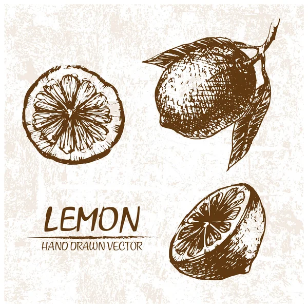 Digital vector szczegółowy lemon ręcznie rysowane — Wektor stockowy