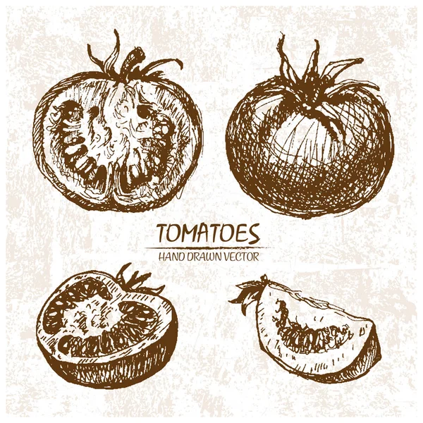 Digitale vector gedetailleerde tomaten hand getrokken — Stockvector