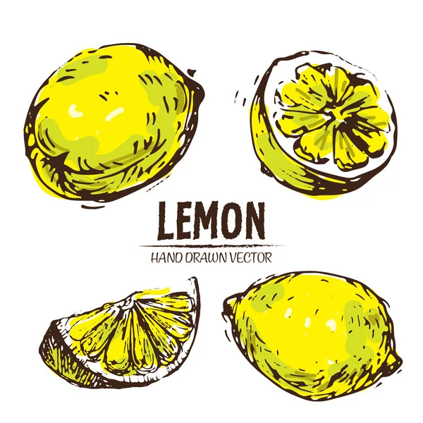 Vecteur numérique couleur détaillée citron dessiné à la main — Image vectorielle