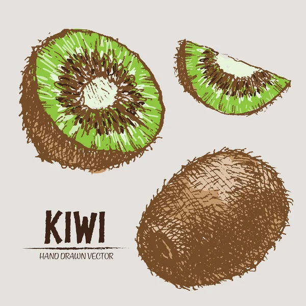 Vecteur numérique couleur détaillée kiwi dessiné à la main — Image vectorielle