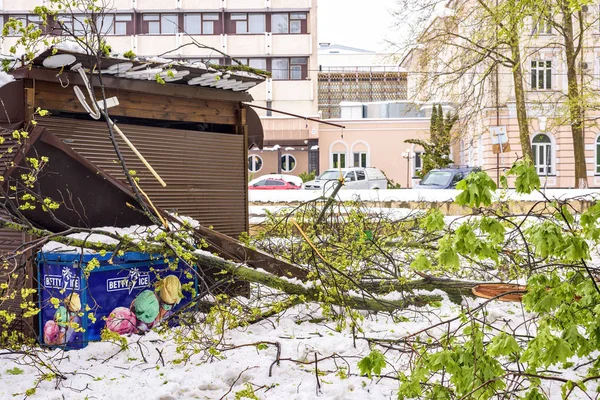 Erős havazás Moldovában, view, central Park, elpusztult kávézó — Stock Fotó