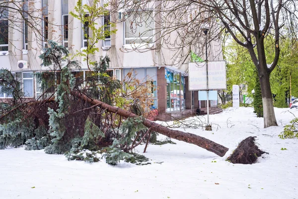 Erős havazás Moldovában, Nézd, utcák, a város központjában — Stock Fotó