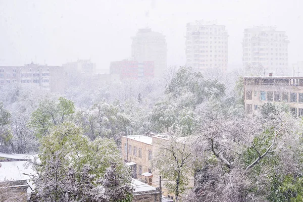 Nieve pesada en Moldavia — Foto de Stock