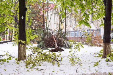 Moldova, şehir merkezinde sokak görünümünü şiddetli kar yağışı