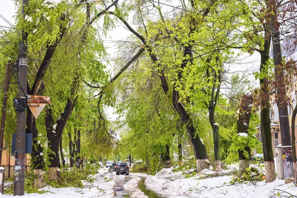 Nieve fuerte en Moldavia, vista de las calles en el centro de la ciudad — Foto de Stock