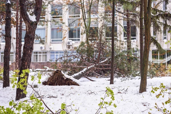 Nieve fuerte en Moldavia, vista de las calles en el centro de la ciudad — Foto de Stock