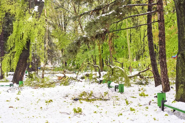 Starker Schnee in Moldawien, Blick auf den Central Park — Stockfoto