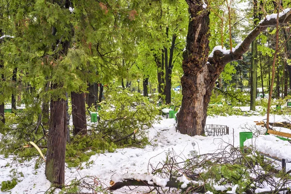 Neige abondante en Moldavie, vue sur le parc central — Photo