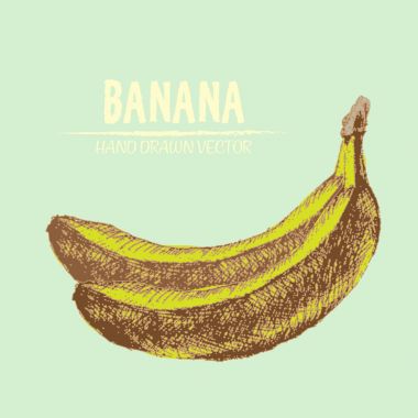 Dijital vektör detaylı muz