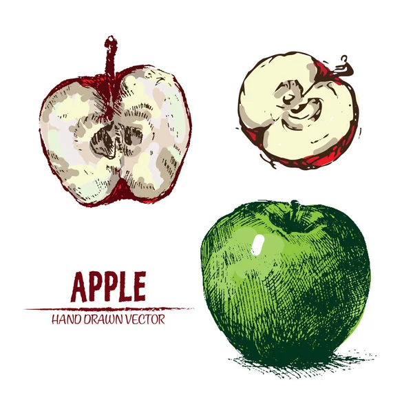 Vecteur numérique détaillé pomme dessiné à la main — Image vectorielle