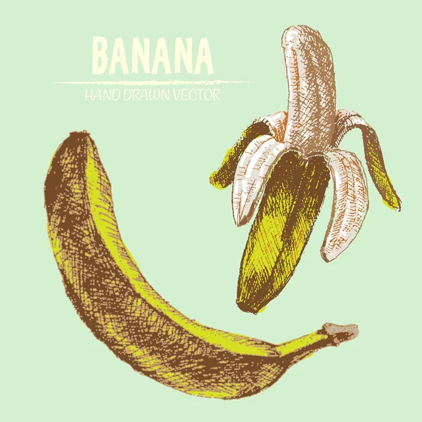 Ψηφιακή διάνυσμα λεπτομερείς μπανάνα — Διανυσματικό Αρχείο