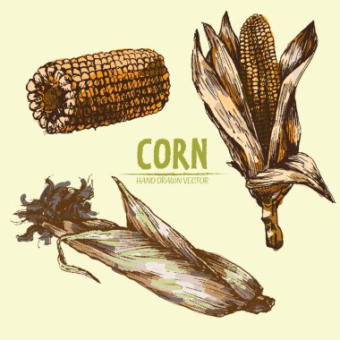 Dijital vektör Mısır elle çizilmiş ayrıntılı