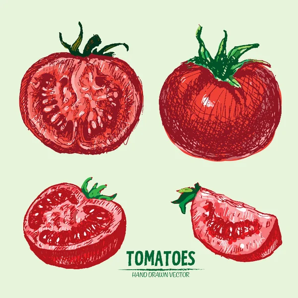 Digitala vektor detaljerade tomat hand dras — Stock vektor