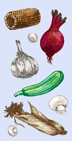 Digitální vektorová podrobné barevné zeleniny ručně kreslenou — Stockový vektor