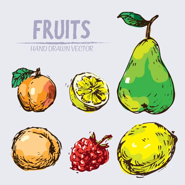 Vettore digitale frutta dettagliata disegnata a mano — Vettoriale Stock