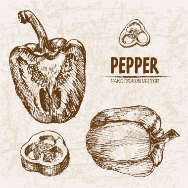 Dijital vektör hat sanat biber sebze ayrıntılı