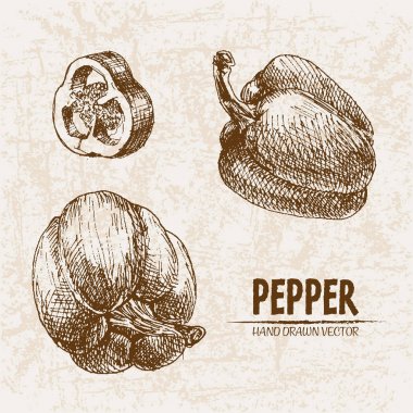 Dijital vektör hat sanat biber sebze ayrıntılı