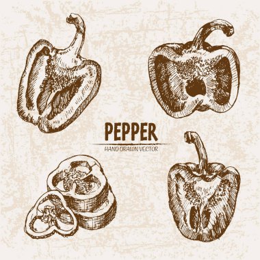 Dijital vektör hat sanat biber sebze ayrıntılı