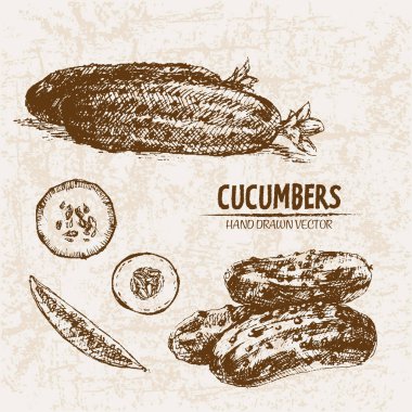 Dijital vektör hat sanat salatalık ayrıntılı