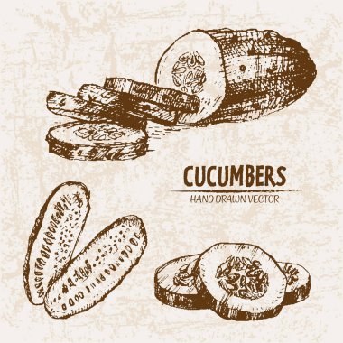 Dijital vektör hat sanat salatalık ayrıntılı