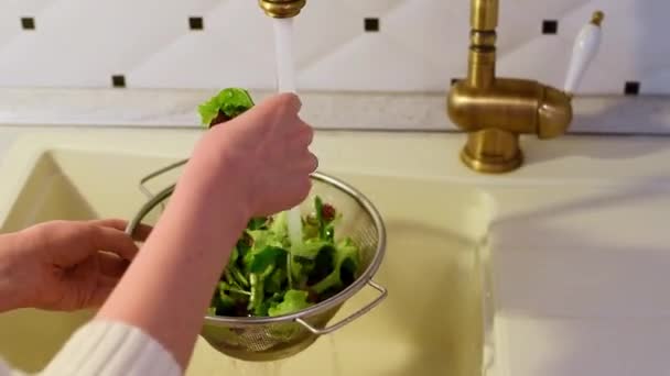 Femme mains lavage salade verte — Video
