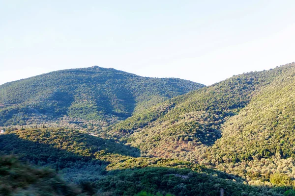 Vackra gröna skogen bergen vid solnedgången — Stockfoto