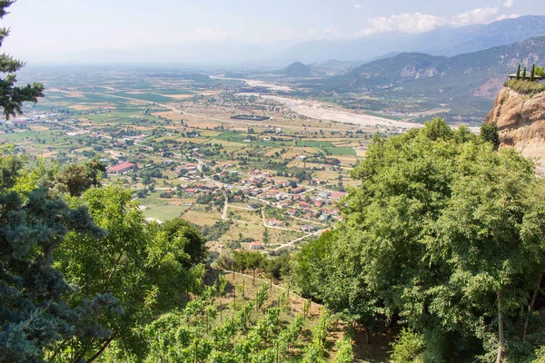 Vue aérienne sur les champs d'oliviers, la forêt verte et le vieux village de la ville — Photo