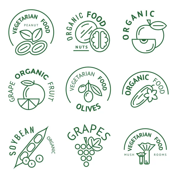 Digital vector green vegetable icons set — Stock Vector