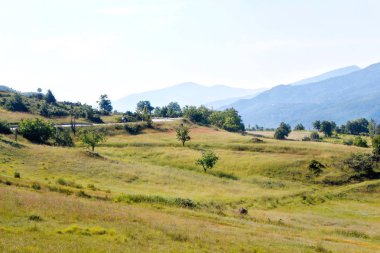 Gün batımında güzel yeşil orman Dağları