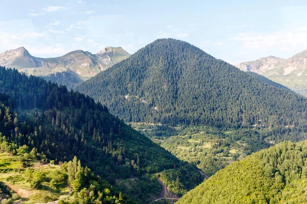 Belle forêt verdoyante montagnes au coucher du soleil — Photo