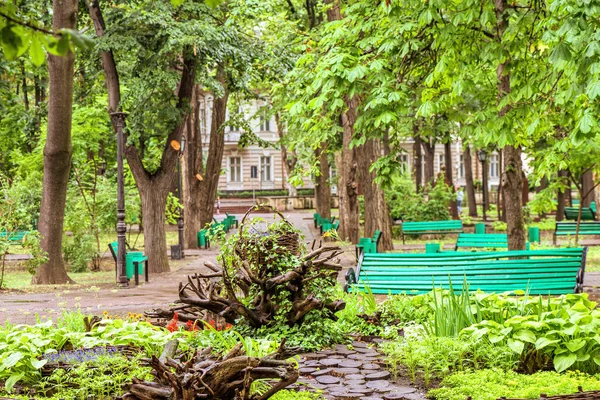 Groene centrale park met bloemen — Stockfoto