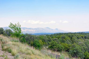 Güzel yaz görünümüne yeşil orman ve dağlar