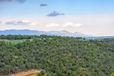 Güzel yaz görünümüne yeşil orman ve dağlar