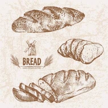 Dijital vektör ayrıntılı satırı