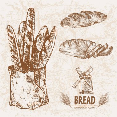 Dijital vektör ayrıntılı satırı