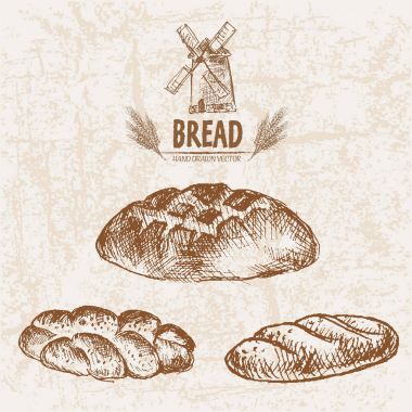 Dijital vektör ayrıntılı satırı