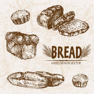 Dijital vektör Hat sanatı ayrıntılı