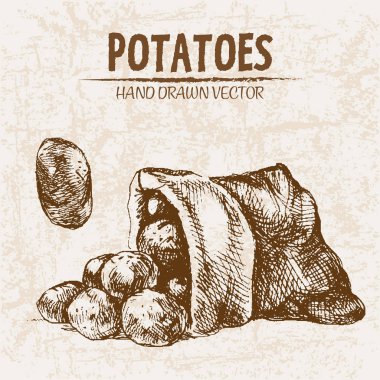 Dijital vektör hat sanat patates ayrıntılı