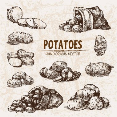 Dijital vektör hat sanat patates ayrıntılı