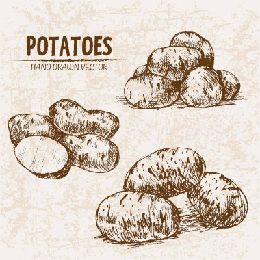 Dijital vektör hat sanat patates ayrıntılı