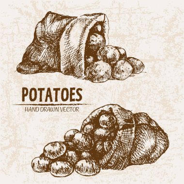 Dijital vektör hat sanat patates ayrıntılı