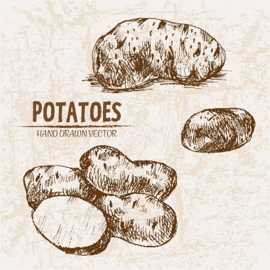 Dijital vektör hat sanat patates ayrıntılı