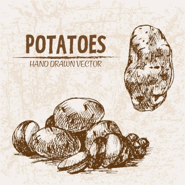 Dijital vektör hat sanat patates ayrıntılı