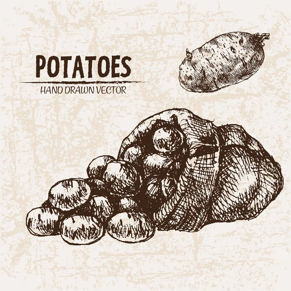 Vector digital línea detallada arte patata — Vector de stock