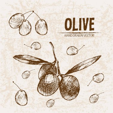 Dijital vektör hat sanat zeytin ayrıntılı