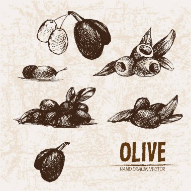 Dijital vektör hat sanat zeytin ayrıntılı