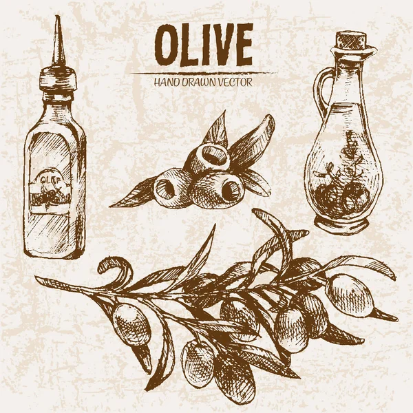 Dijital vektör hat sanat zeytin ayrıntılı