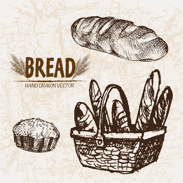 Vecteur numérique détail ligne art boulangerie — Image vectorielle