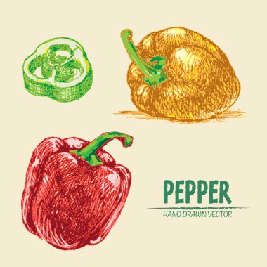 Dijital vektör hat sanat renk biber ayrıntılı