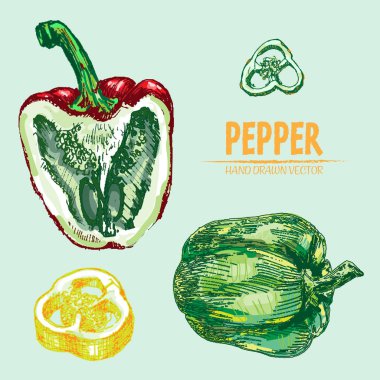 Dijital vektör hat sanat renk biber ayrıntılı